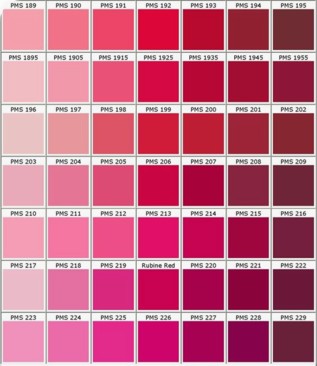Nuances de rose
